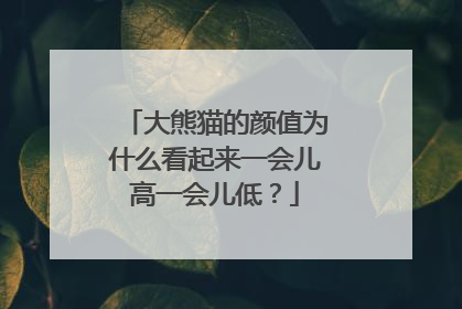 大熊猫的颜值为什么看起来一会儿高一会儿低？
