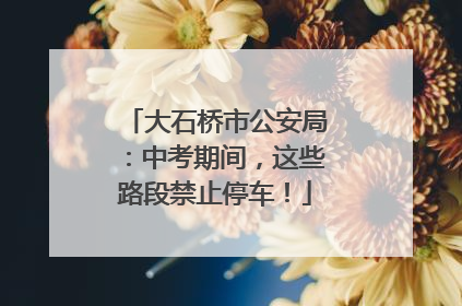 大石桥市公安局：中考期间，这些路段禁止停车！
