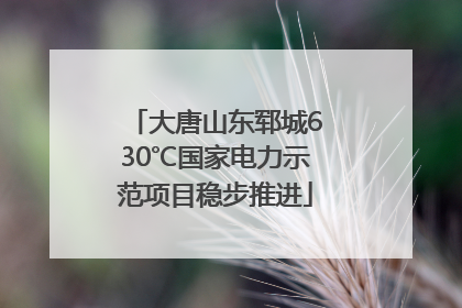 大唐山东郓城630℃国家电力示范项目稳步推进