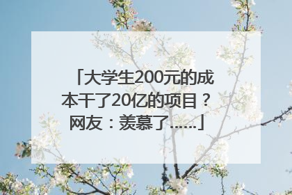 大学生200元的成本干了20亿的项目？网友：羡慕了……