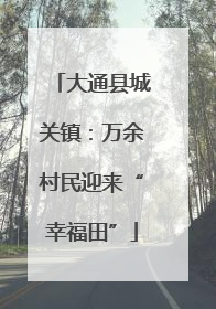 大通县城关镇：万余村民迎来“幸福田”