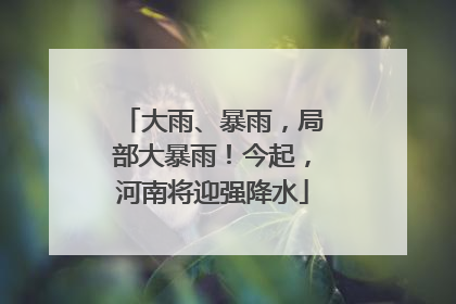 大雨、暴雨，局部大暴雨！今起，河南将迎强降水