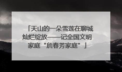 天山的一朵雪莲在聊城灿烂绽放——记全国文明家庭“詹春芳家庭”