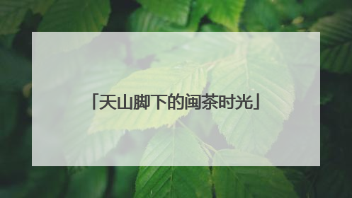 天山脚下的闽茶时光