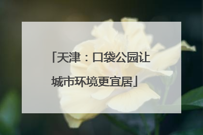 天津：口袋公园让城市环境更宜居