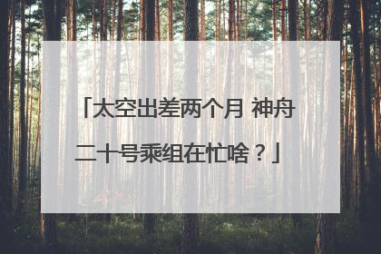 太空出差两个月 神舟二十号乘组在忙啥？