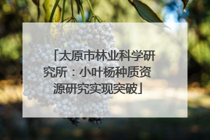 太原市林业科学研究所：小叶杨种质资源研究实现突破