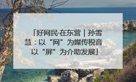 好网民·在东营｜孙雪慧：以“网”为媒传税音 以“屏”为介助发展