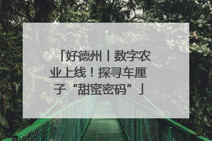 好德州丨数字农业上线！探寻车厘子“甜蜜密码”