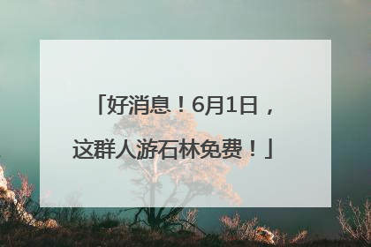 好消息！6月1日，这群人游石林免费！