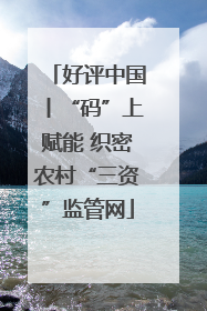 好评中国丨“码”上赋能 织密农村“三资”监管网