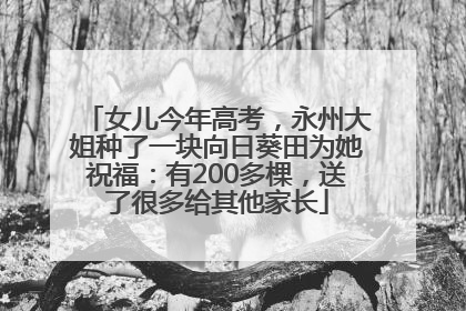 女儿今年高考，永州大姐种了一块向日葵田为她祝福：有200多棵，送了很多给其他家长