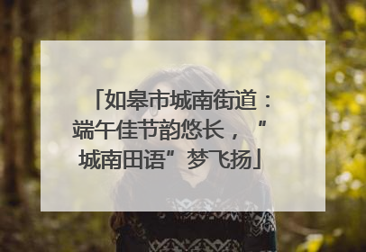 如皋市城南街道：端午佳节韵悠长，“城南田语”梦飞扬