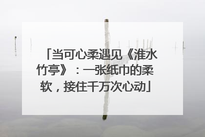 当可心柔遇见《淮水竹亭》：一张纸巾的柔软，接住千万次心动