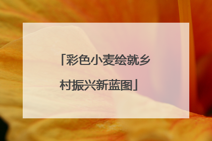 彩色小麦绘就乡村振兴新蓝图