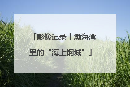 影像记录丨渤海湾里的“海上钢城”