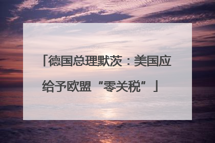 德国总理默茨：美国应给予欧盟“零关税”