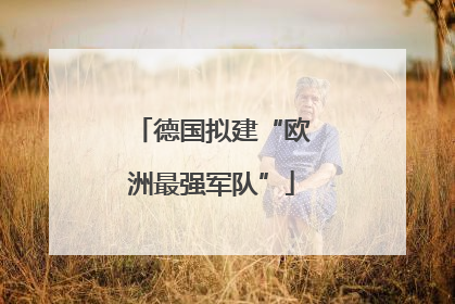 德国拟建“欧洲最强军队”