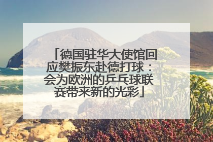德国驻华大使馆回应樊振东赴德打球：会为欧洲的乒乓球联赛带来新的光彩