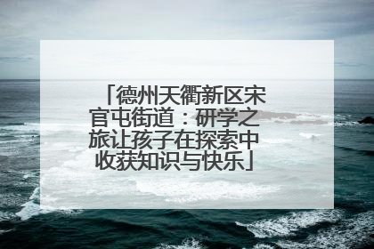 德州天衢新区宋官屯街道：研学之旅让孩子在探索中收获知识与快乐