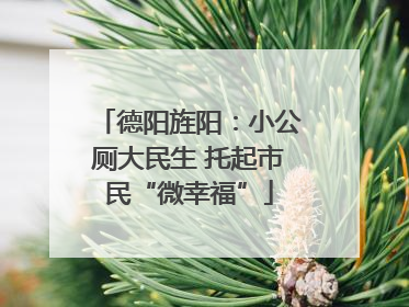 德阳旌阳：小公厕大民生 托起市民“微幸福”