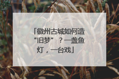 徽州古城如何造“旧梦”？一盏鱼灯，一台戏