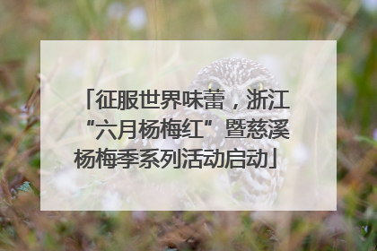 征服世界味蕾，浙江“六月杨梅红”暨慈溪杨梅季系列活动启动
