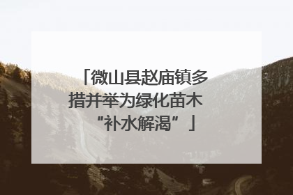 微山县赵庙镇多措并举为绿化苗木“补水解渴”