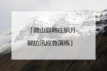 微山县韩庄镇开展防汛应急演练