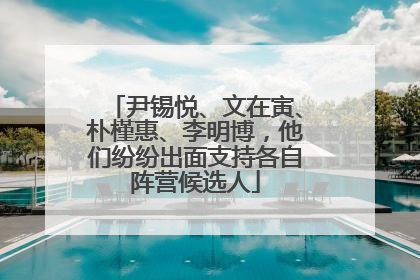尹锡悦、文在寅、朴槿惠、李明博，他们纷纷出面支持各自阵营候选人
