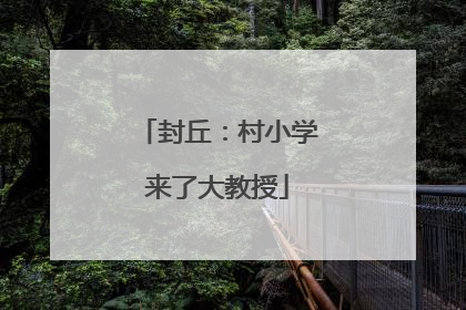 封丘：村小学来了大教授