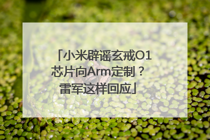 小米辟谣玄戒O1芯片向Arm定制？雷军这样回应