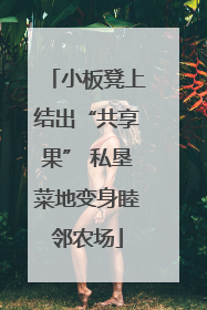 小板凳上结出“共享果” 私垦菜地变身睦邻农场