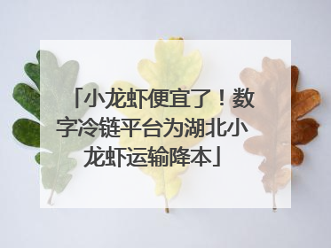 小龙虾便宜了！数字冷链平台为湖北小龙虾运输降本