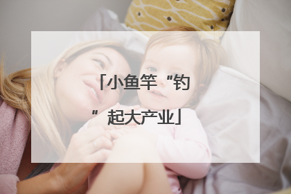 小鱼竿“钓”起大产业