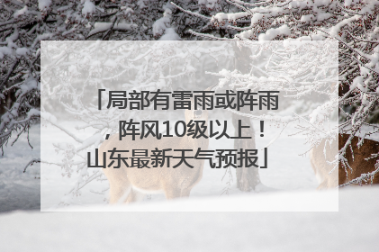 局部有雷雨或阵雨，阵风10级以上！山东最新天气预报