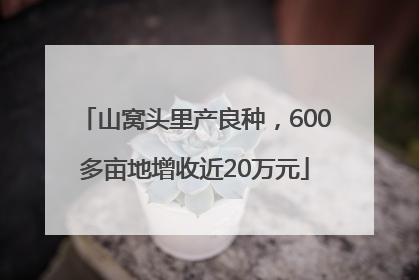 山窝头里产良种，600多亩地增收近20万元