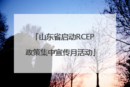 山东省启动RCEP政策集中宣传月活动