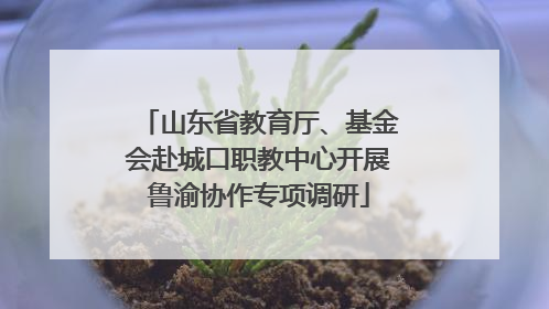 山东省教育厅、基金会赴城口职教中心开展鲁渝协作专项调研