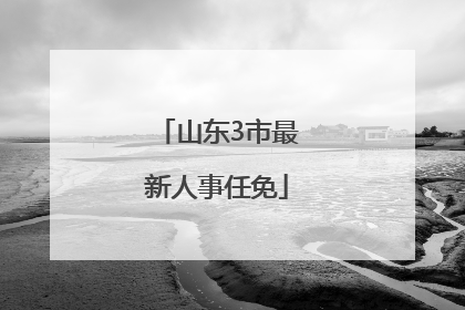 山东3市最新人事任免