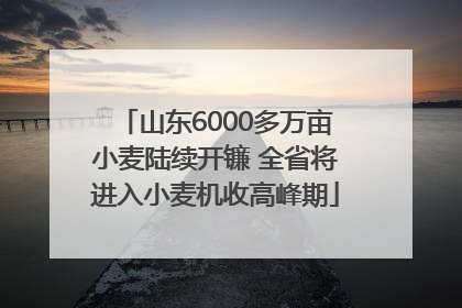山东6000多万亩小麦陆续开镰 全省将进入小麦机收高峰期