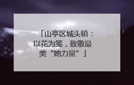 山亭区城头镇：以花为笺，致敬最美“她力量”