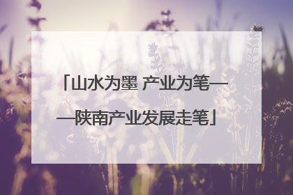 山水为墨 产业为笔——陕南产业发展走笔
