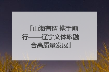山海有情 携手前行——辽宁文体旅融合高质量发展