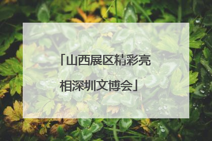 山西展区精彩亮相深圳文博会