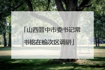 山西晋中市委书记常书铭在榆次区调研