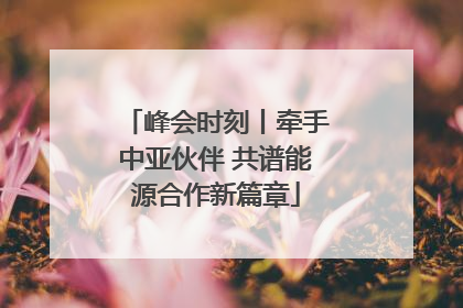 峰会时刻丨牵手中亚伙伴 共谱能源合作新篇章