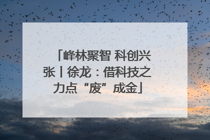 峰林聚智 科创兴张丨徐龙：借科技之力点“废”成金