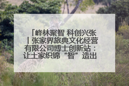 峰林聚智 科创兴张丨张家界旅典文化经营有限公司博士创新站：让土家织锦“智”造出非遗新传奇