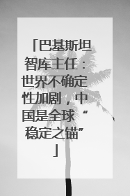 巴基斯坦智库主任：世界不确定性加剧，中国是全球“稳定之锚”